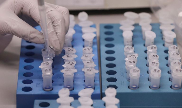 Brasil registra 90.134 mortos e 2,5  milhões de infectados por covid-19