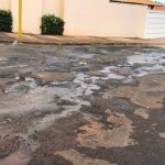 45671331021_0b69d24e8c_b