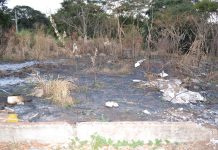 Fundo de Meio Ambiente arrecadou cerca de R$ 300 mil no primeiro semestre