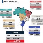 info_brasil_dengue