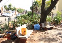 Praça do Carmo: Vereador quer intensificação de abordagem social e acolhimento de pessoas em situação de rua