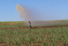 O Brasil entende mesmo o papel do agro num mundo instável?