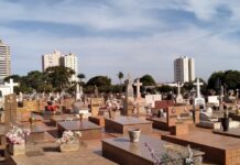 Finados: Reforma de sepulturas são suspensas temporariamente nos cemitérios municipais