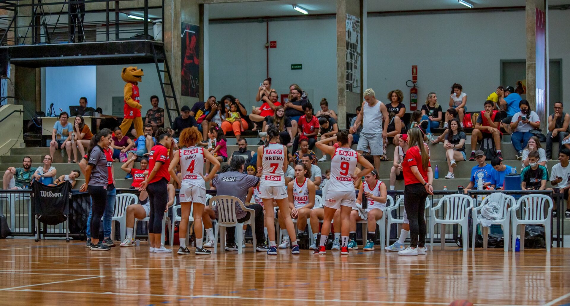 Basquete (Música Infantil de Incentivo aos Esportes) 