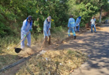 Frente de Trabalho de Varrição e Zeladoria nos bairros de Araraquara é sugerida à Prefeitura