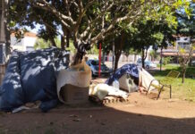Controle de cães em situação de rua nas praças do Carmo e do Santana é solicitado à Prefeitura