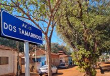 Araraquara leva o Dia Nacional do Campo Limpo ao Assentamento Bela Vista