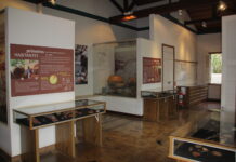 “A Força da mulher na ancestralidade dos povos originários” na programação do MAPA