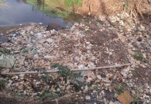 Trecho do Córrego Ribeirão do Ouro precisa de limpeza e roçada