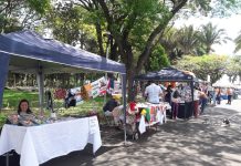 Parque Infantil recebe expositores da Feira Natal no Parque nesta sexta-feira (19)