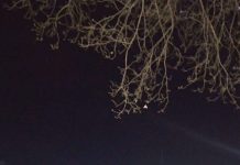 Choro das Águas retoma programação neste domingo (7)