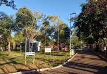 Feira do Parque Botânico na tarde deste sábado apresenta “Especial Circo”