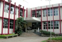 Terça-feira: aniversário da Biblioteca Monteiro Lobato tem curta-metragem, oficina de desenho e bate-papo