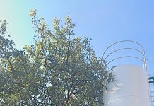 Homem é preso tentando furtar o CAPS II no Jardim América