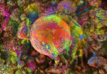 Enio Longo representa o Brasil no Festival Internacional de Nanoarte no Japão