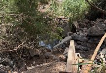 Vereadora sugere recuperação ambiental e urbanística de córrego em Araraquara