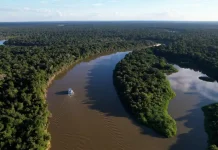 COP30: financiamento, transição e adaptação são centro das negociações