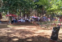 Parque do Botânico recebe Feira Pôr do Sol neste domingo (23)