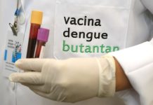 Primeira vacina nacional contra a dengue é aprovada pela Anvisa e será disponibilizada pelo SUS