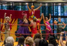 Dança, música, feira, espetáculo circense, exposição e cinema movimentam Araraquara