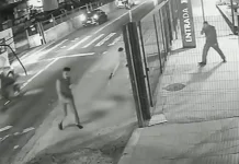 Cachorro é morto com dez tiros em frente a ponto de ônibus em SP