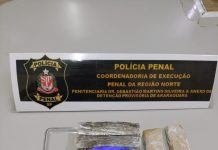 Idosa é flagrada levando droga para neto na Penitenciária de Araraquara