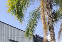 Araraquara é habilitada no XIII Prêmio Sebrae “Prefeitura Empreendedora” com projeto de gestão inovadora