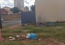 Vereador sujere projeto para arborização e criação de jardim no Santa Angelina