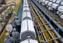 Araraquara fecha último tri de 2025 com superávit externo e avanço no número de empresas