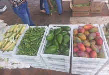 CATI Regional Araraquara distribui mais alimentos do PAA para famílias da região