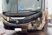 Ônibus com a equipe do cantor Latino sofre acidente em Matão