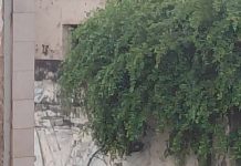 Prédio abandonado vira transtorno para vizinhos no bairro do Carmo