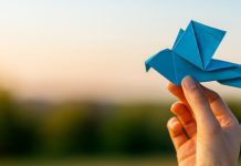 Música, oficinas, teatro, contação de histórias, feiras, curso, exposições e cinema movimentam Araraquara