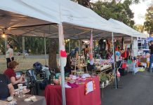 Feira Tô em Casa: neste sábado (4) no coração da cidade