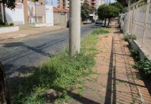 Prefeitura publica editais de intimação de limpeza em terrenos e calçadas