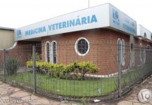 Clínica de Veterinária da Uniara continua com atendimentos clínicos e cirúrgicos em aula