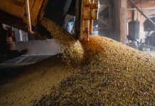 Economia brasileira cresce 1,1% no 1º trimestre