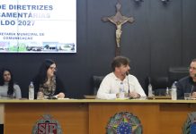 Daae e três secretarias participam da segunda Audiência Pública da LDO 2027