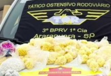 Polícia Rodoviária faz grande apreensão de droga com casal na SP-255