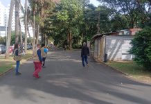 Centro de Fauna Sinantrópica realiza ação de conscientização sobre pombos no Parque Infantil