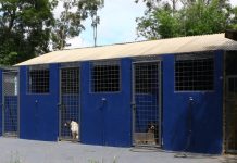 vereador pede acesso facilitado a cadastro de castração e Bem-Estar Animal no site da Prefeitura