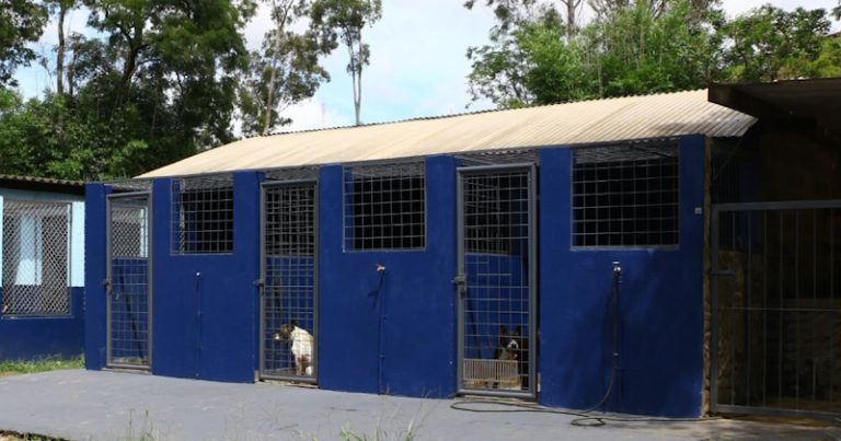 vereador pede acesso facilitado a cadastro de castração e Bem-Estar Animal no site da Prefeitura