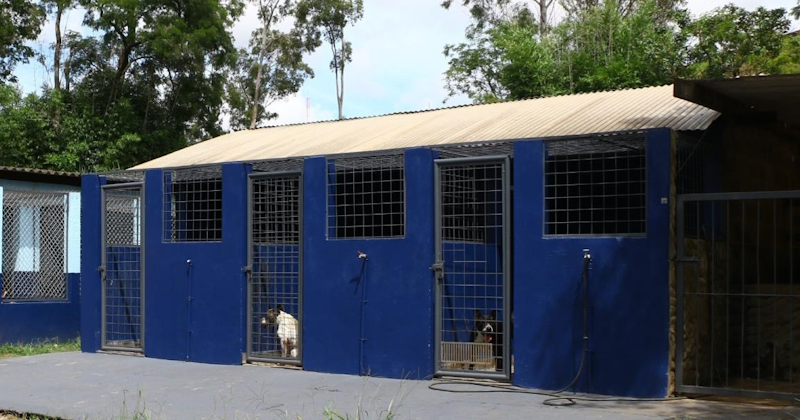 Bem-Estar Animal FOTO Prefeitura de Araraquara