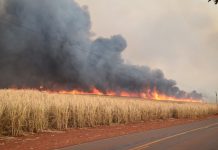 Defesa Civil de Araraquara participa de ações de prevenção a incêndios da Fundação ITESP