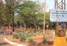 Centro de Zoonoses realiza vacinação gratuita contra raiva para cães e gatos