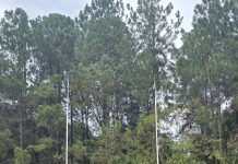 Equipe feminina da Locomotiva Rugby faz estreia histórica no Campeonato Paulista XV Série A