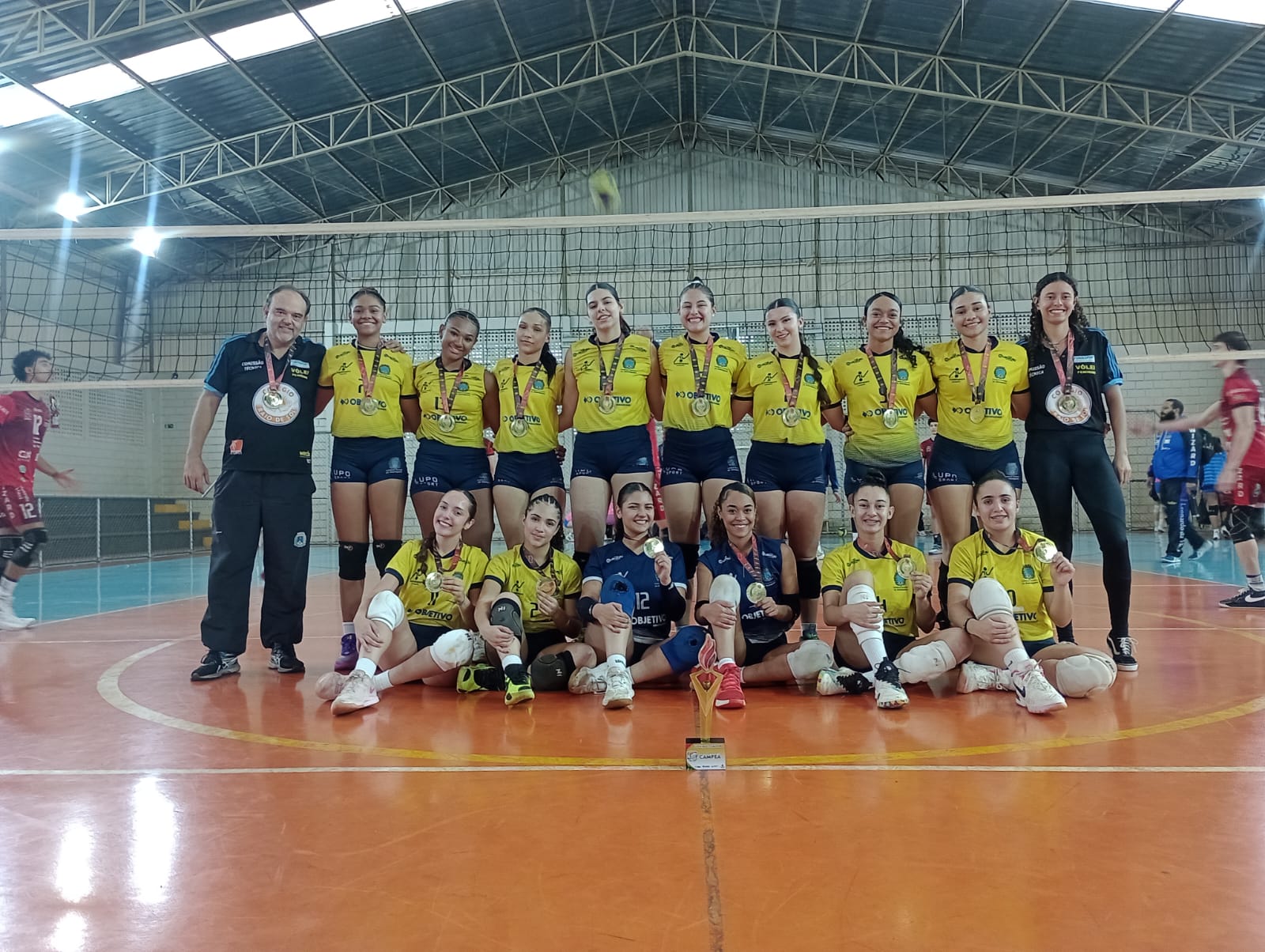 volei