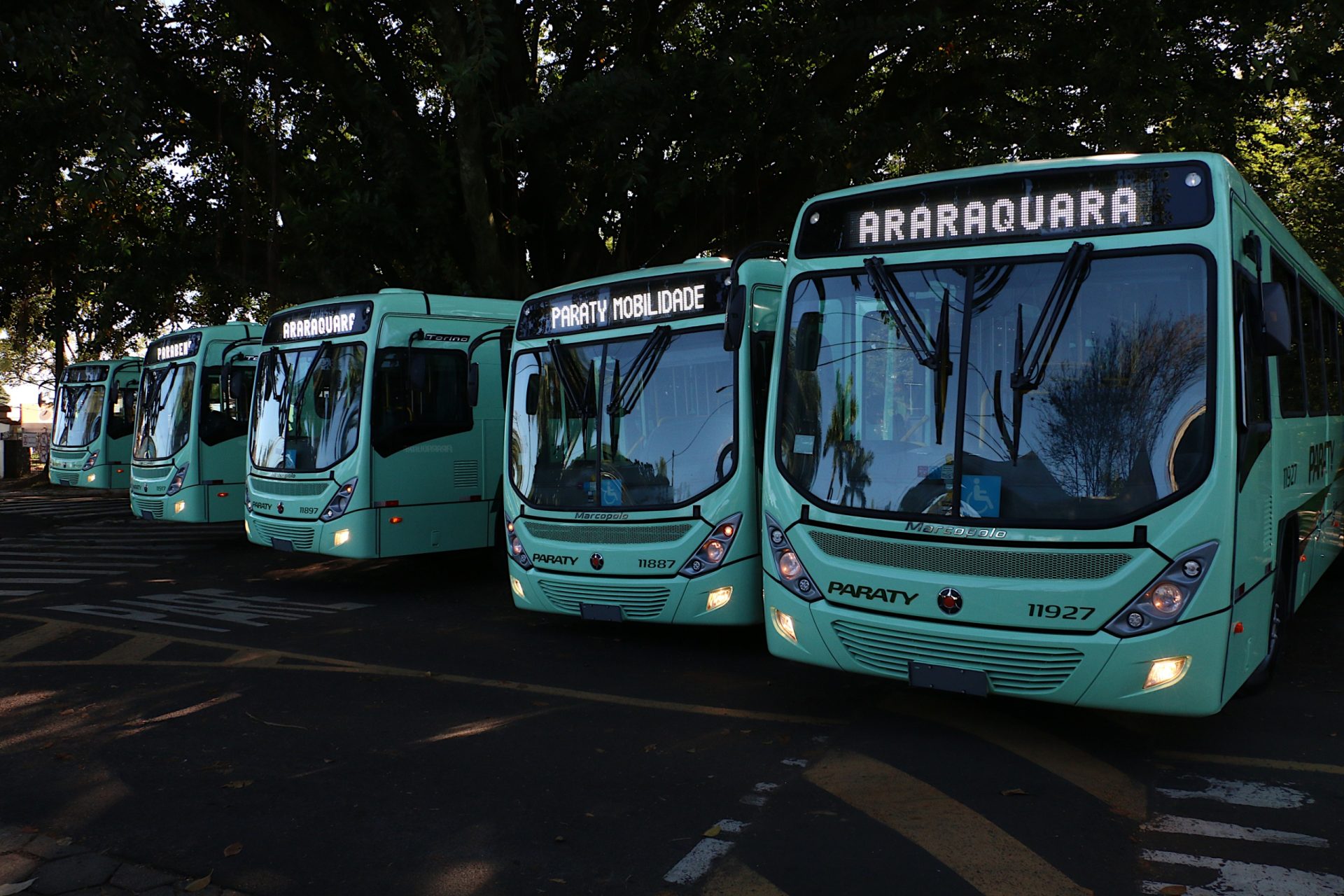 onibus3