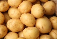 Batata responde por mais de 80% da queda da cesta básica em Araraquara em julho