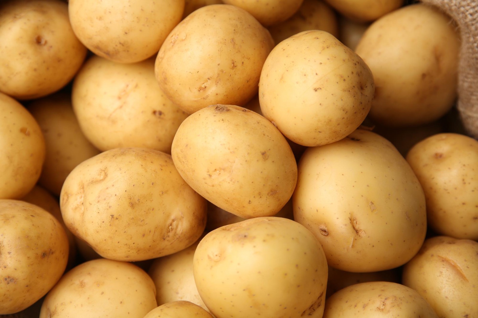 batata